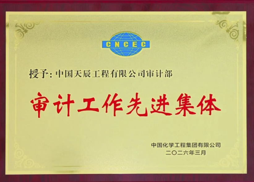 中国化学天辰公司在集团公司审计工作会议上荣获全部奖项